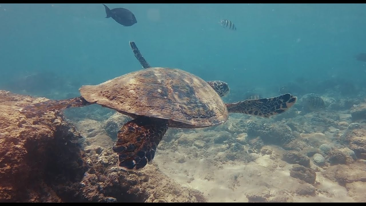 Аэросъемка. Filmmaker Vadim Averin