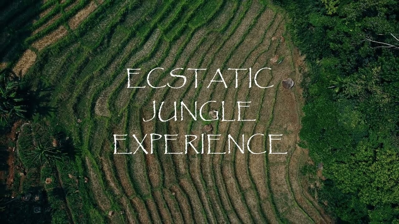 Аэросъемка. Filmmaker Vadim Averin