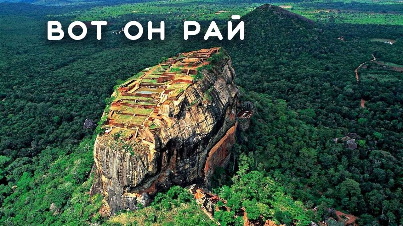 Блоги. Filmmaker Vadim Averin