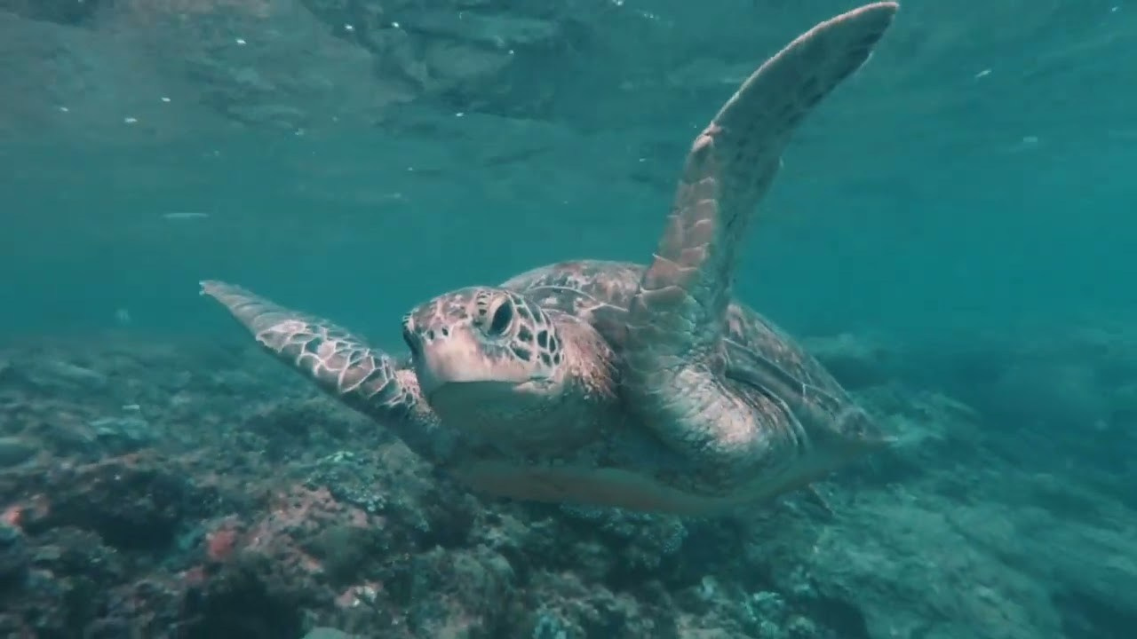 Аэросъемка. Filmmaker Vadim Averin
