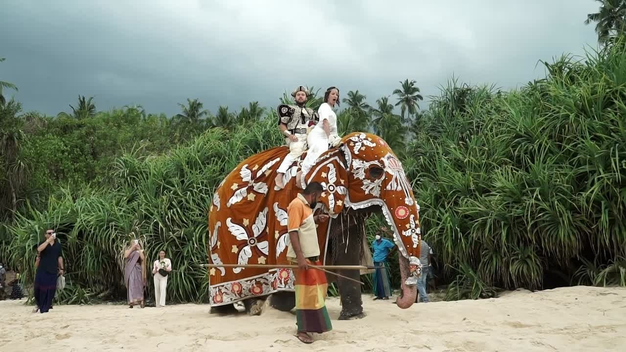 Свадьбы. Filmmaker Vadim Averin