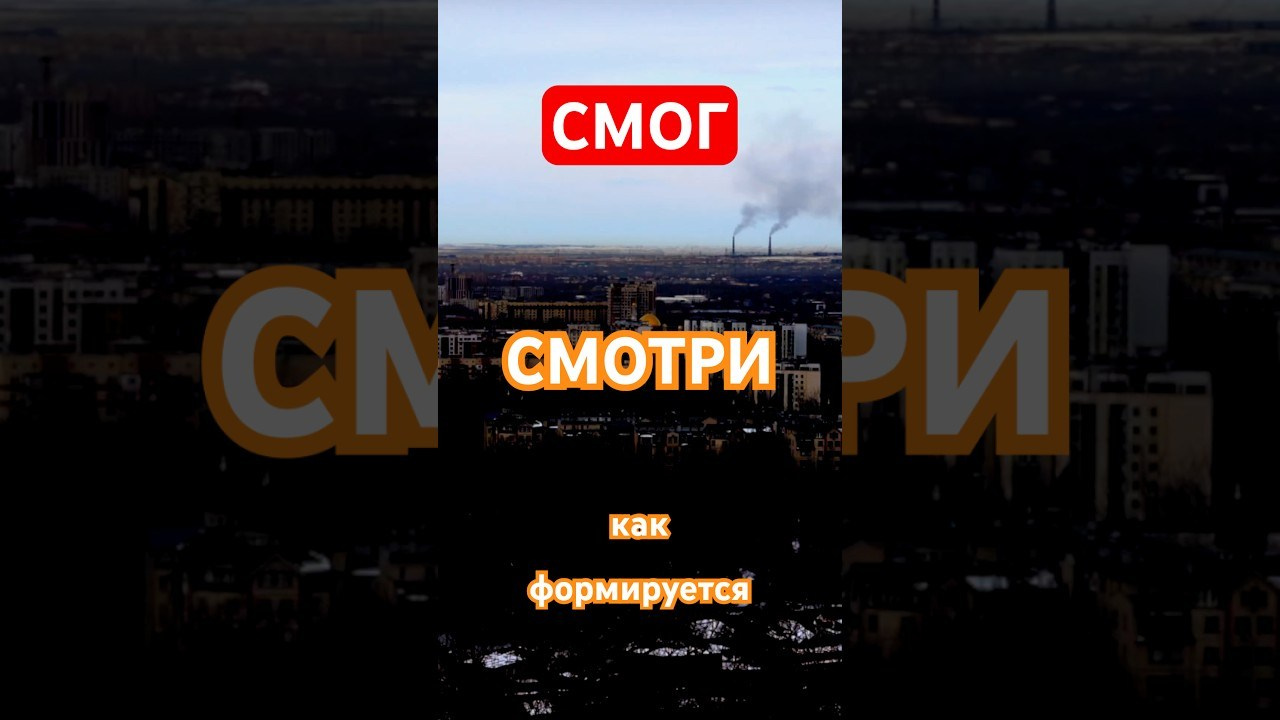 Vertical format. Vadim Videograf