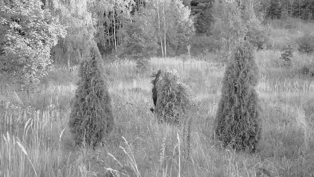 Галина. Фотограф в Нижнем Новгороде Алексей Уковский