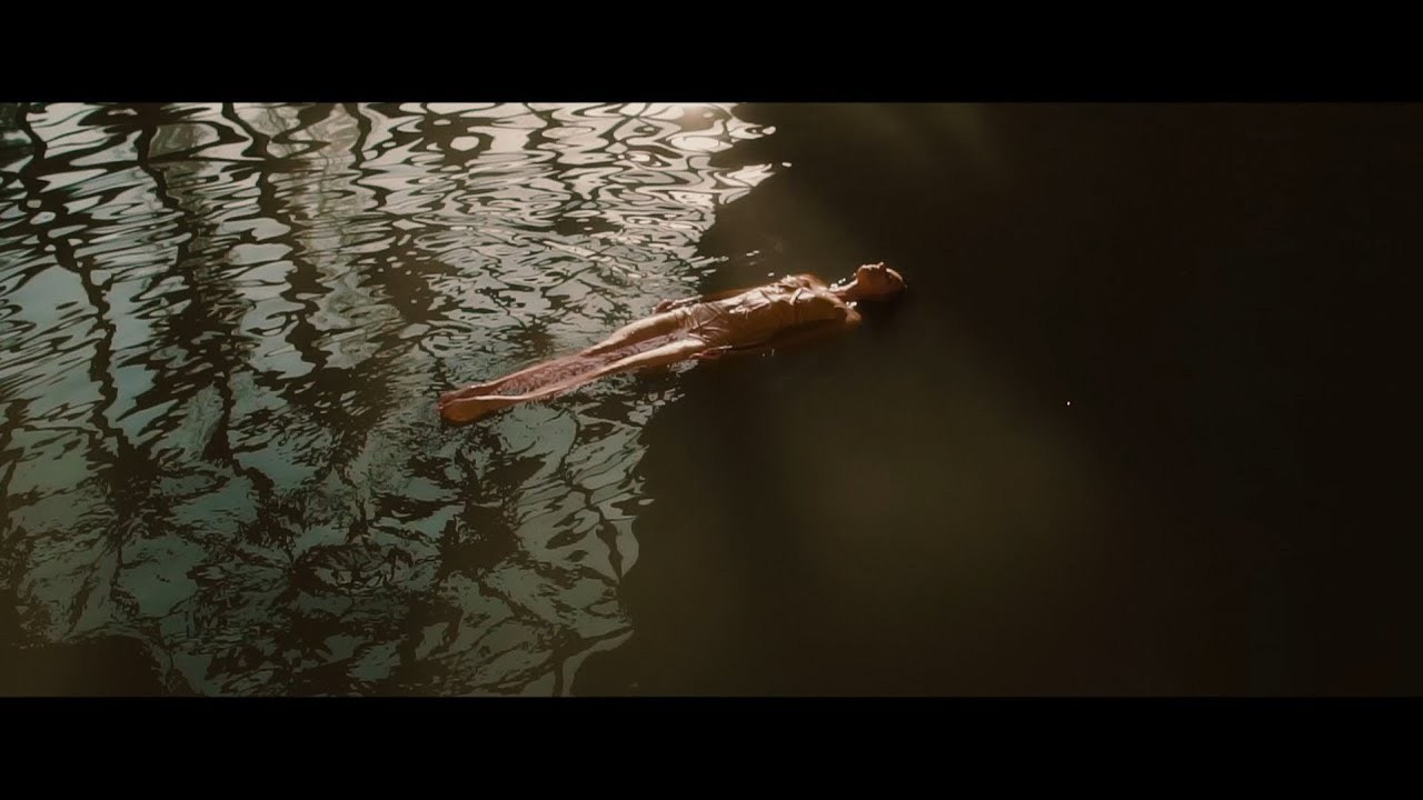 Видео репортажи. Wish Films — Фото и видео для брендов и личных проектов | Фотограф и видеограф