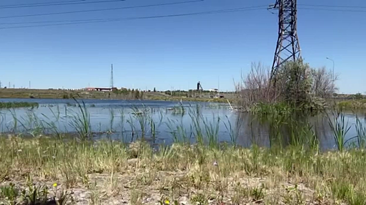 Проект «Заброшка». Лилия Ким. Междисциплинарный художник