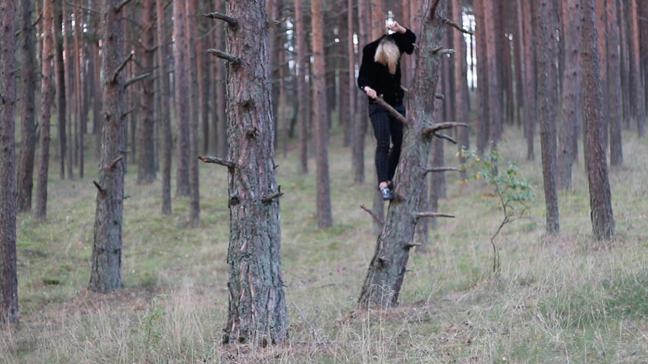 СОСНОВАЯ ВЕШАЛКА