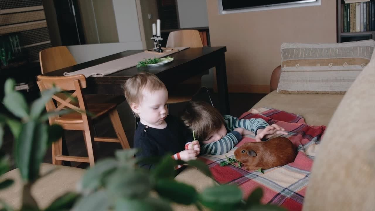 Дети. Семейный фотограф и видеограф. Москва