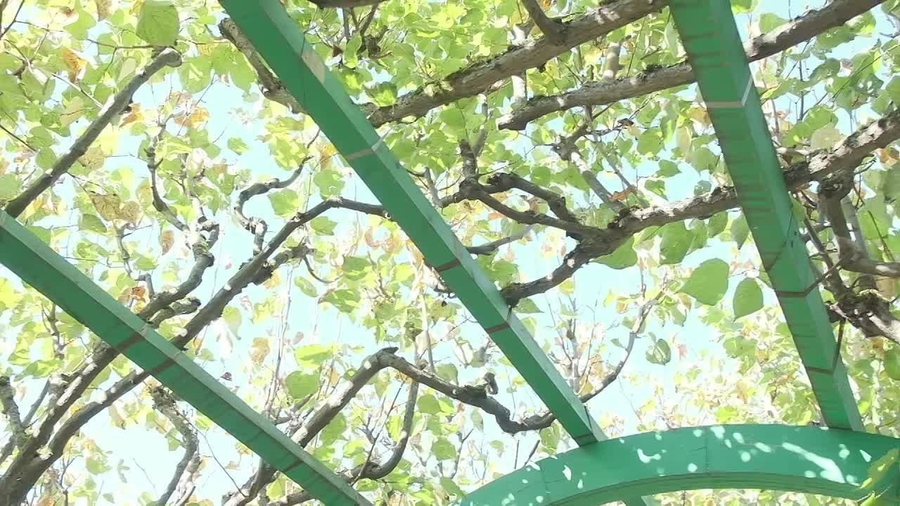 Мини-фильм. Семейный фотограф и видеограф. Москва