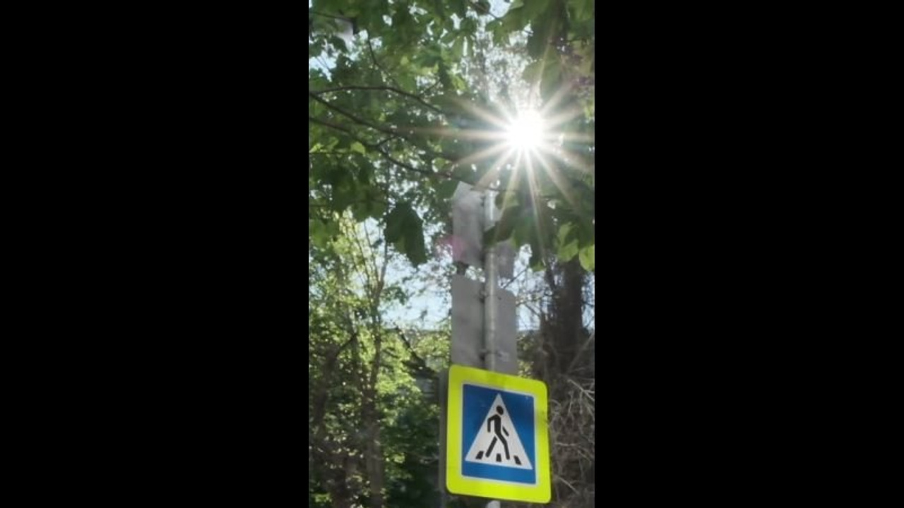 Видеопортрет. Семейный фотограф и видеограф. Москва