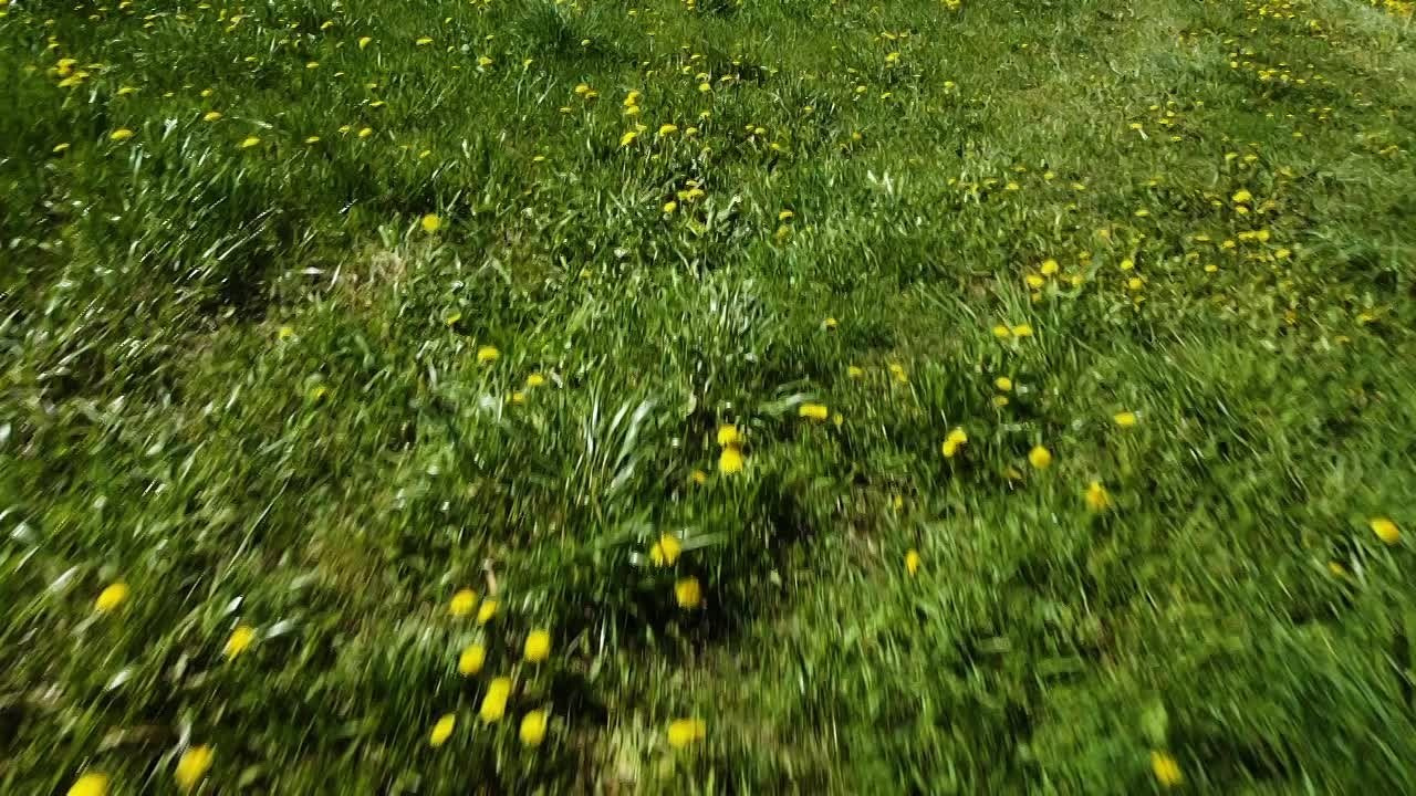 Производство. Видеограф | Съемка РИЛС в Санкт-Петербурге Грачев Марк