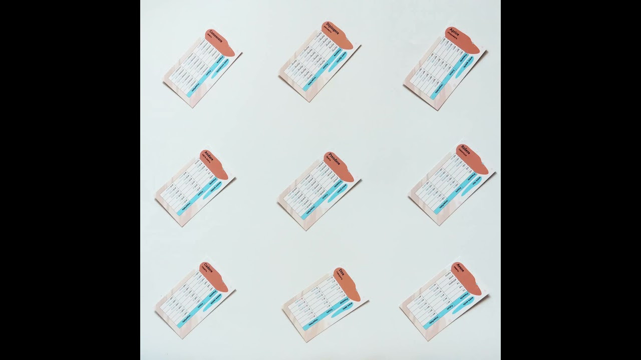 STOP-MOTION. Photo/Video Production