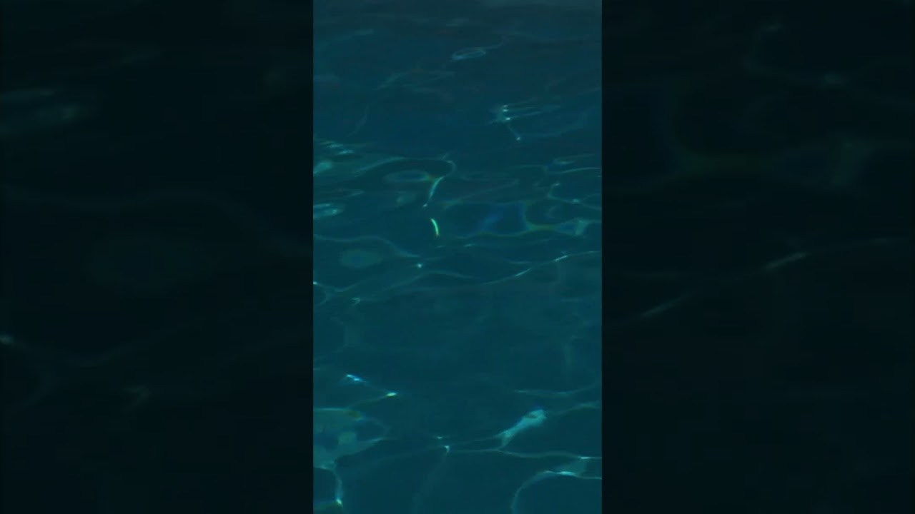 Видео (бренды, музыкальные, рекламные). Фотограф, автор видео Алиса Черкасова