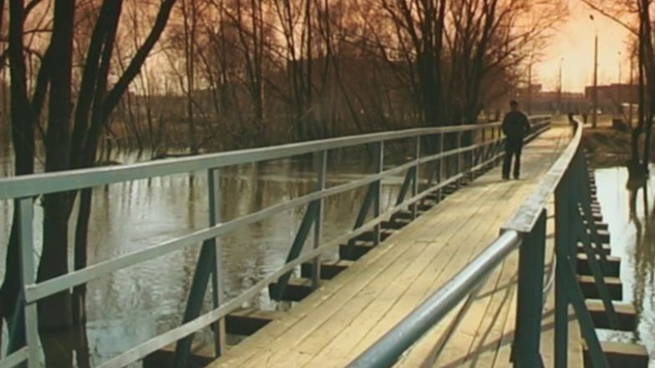 С О Ц И У М. Дмитрий Костяев. Авторское документальное кино