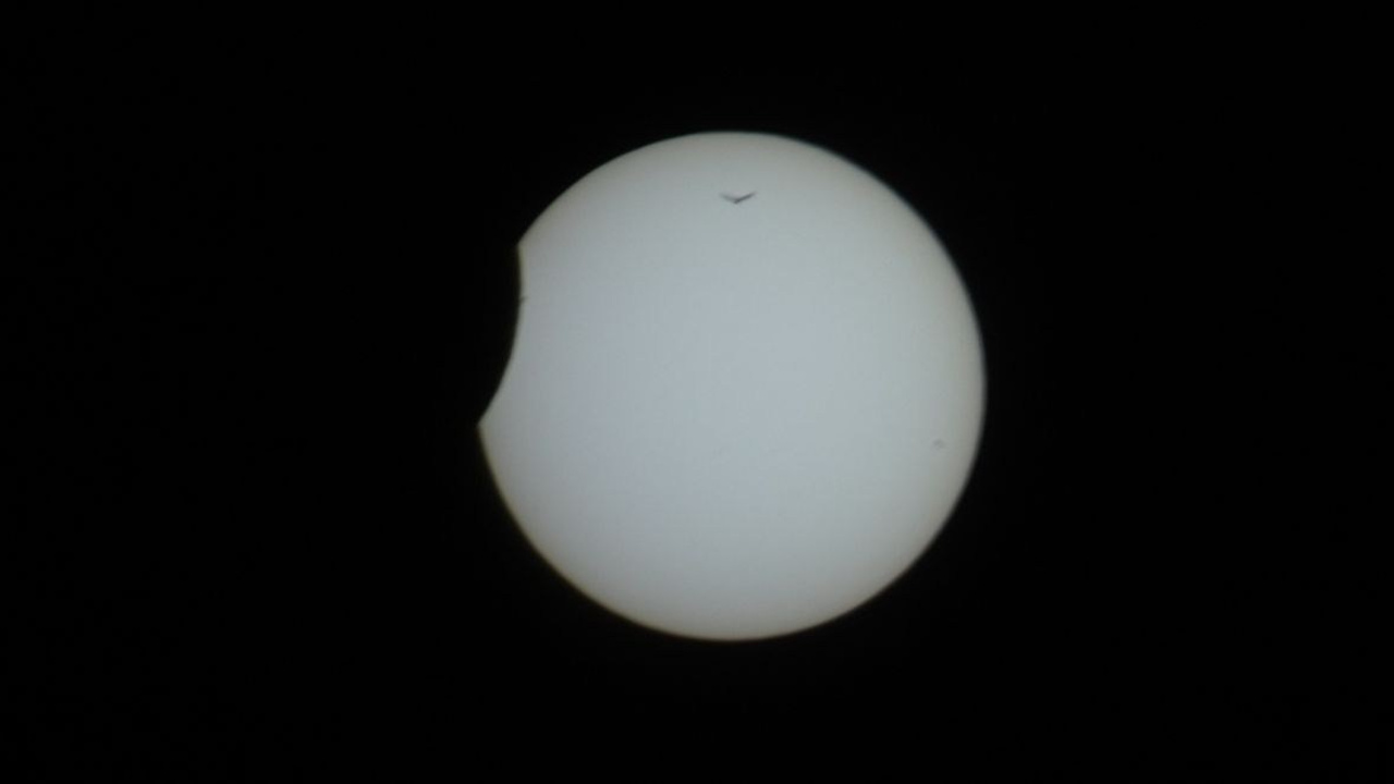 С О Ц И У М. Дмитрий Костяев. Авторское документальное кино