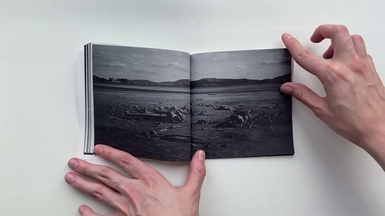 Деревья, которые дают сил. Фотограф Анна Кирнос