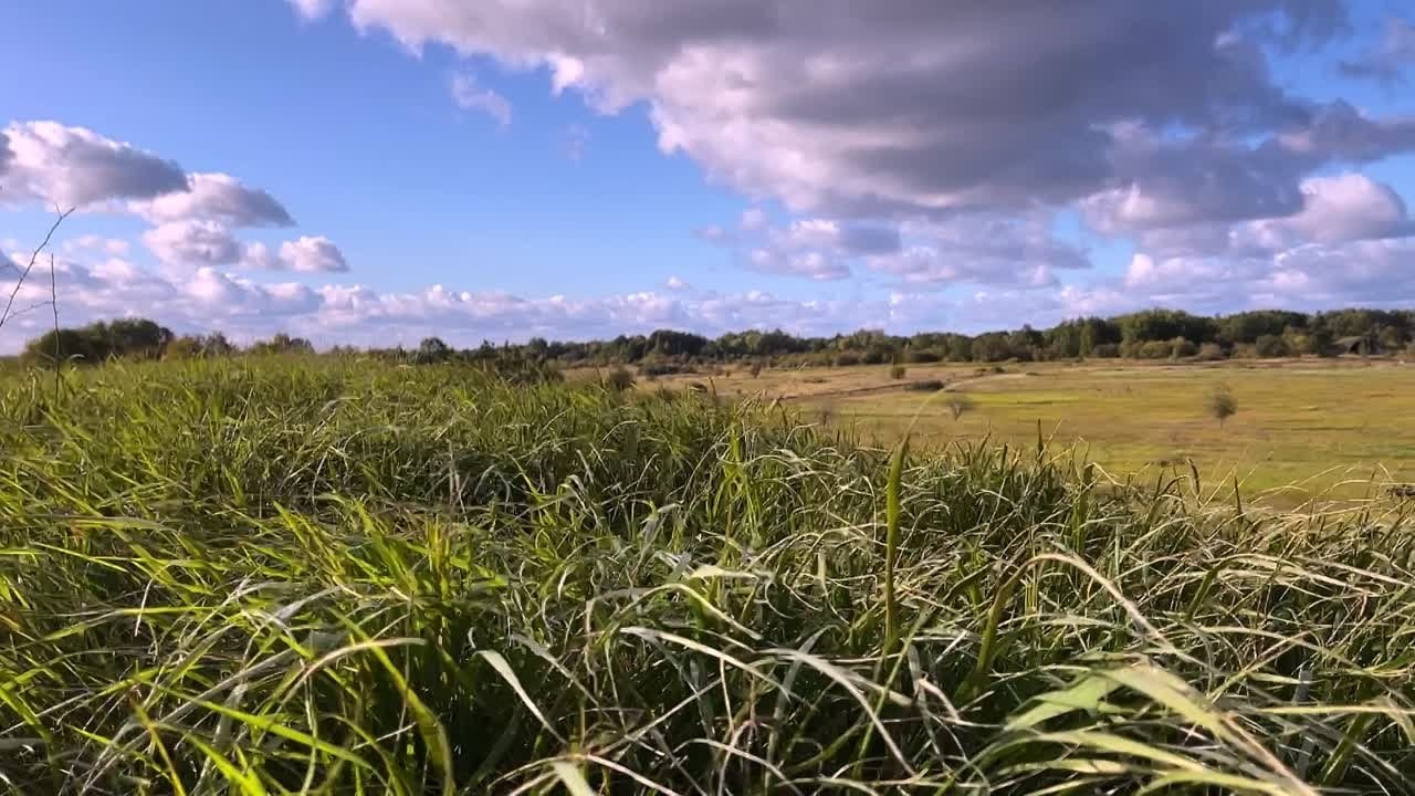 Жизнь. Главная