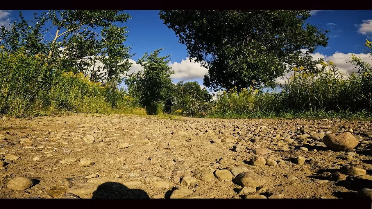 Мотоциклы. Главная