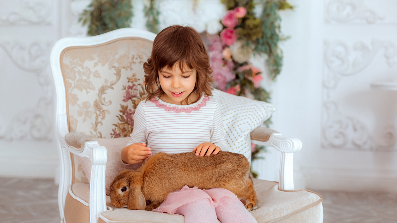 Пасха с кроликом