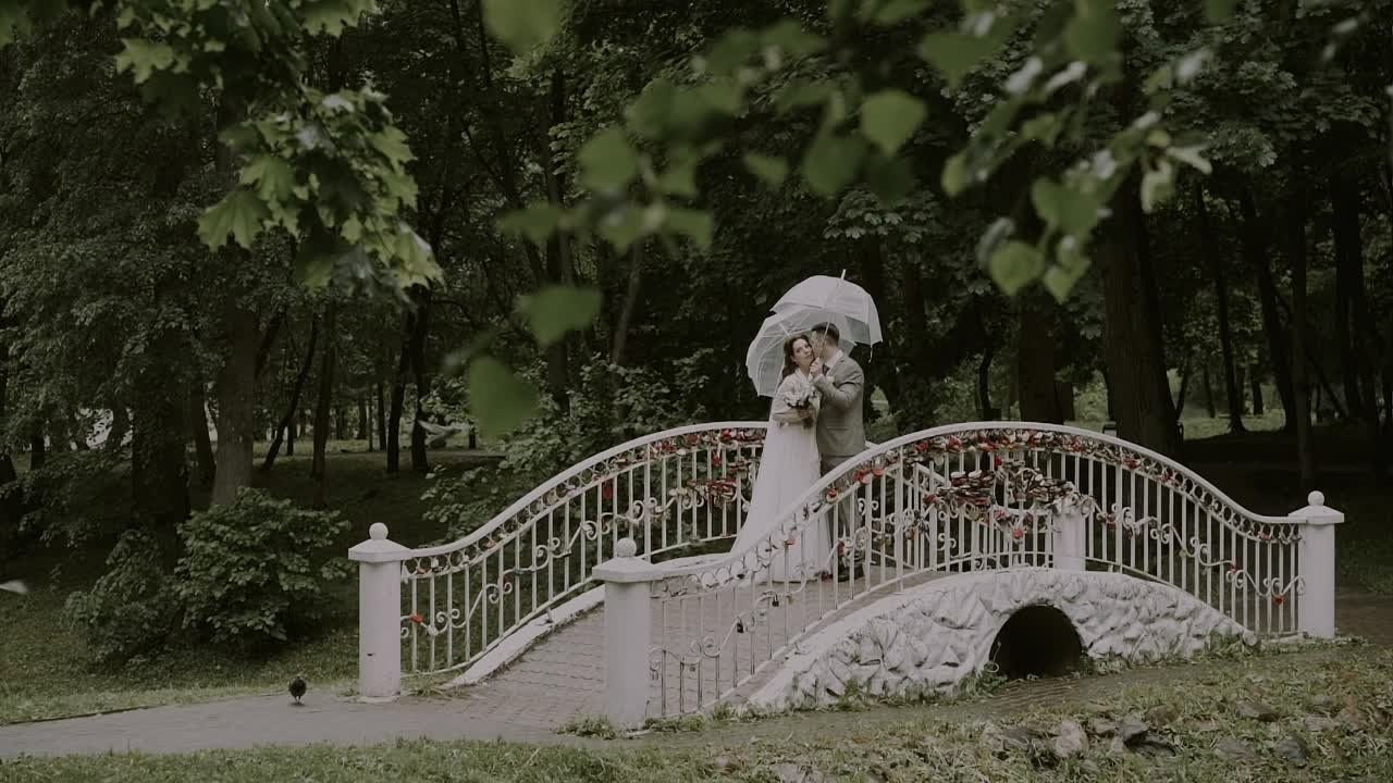 Видеограф Алексей Жарков