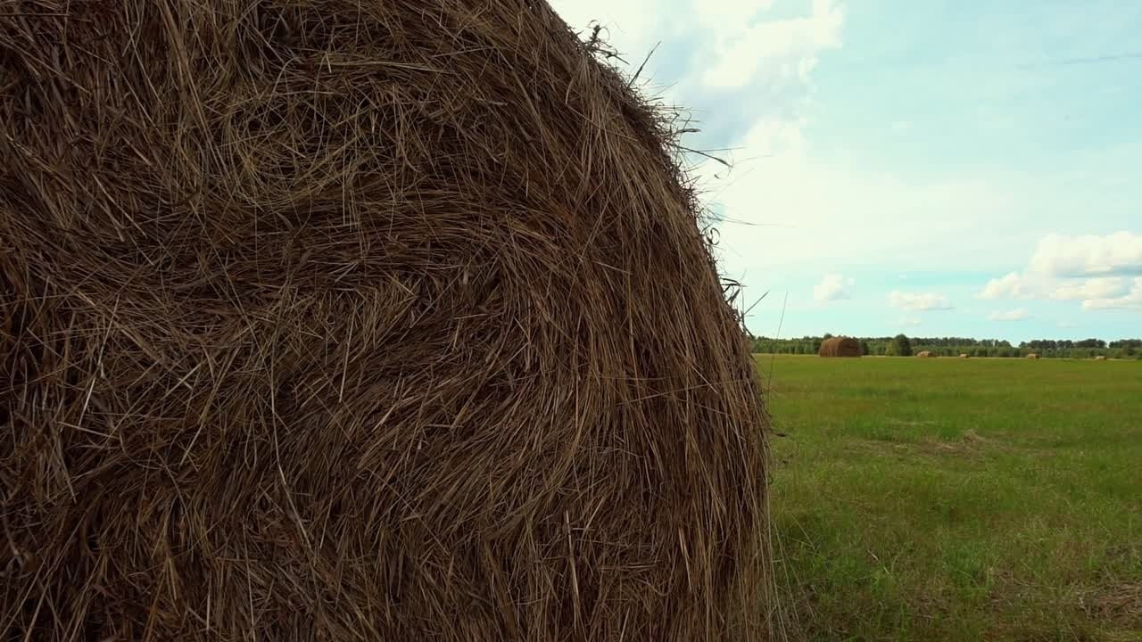 Свадебные. Фотограф | Видеограф в Кургане, Тюмени и Челябинске