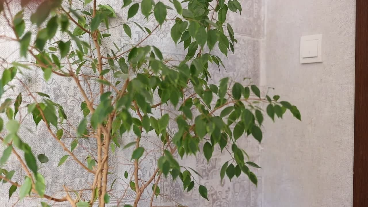 Свадебные. Фотограф | Видеограф в Кургане, Тюмени и Челябинске