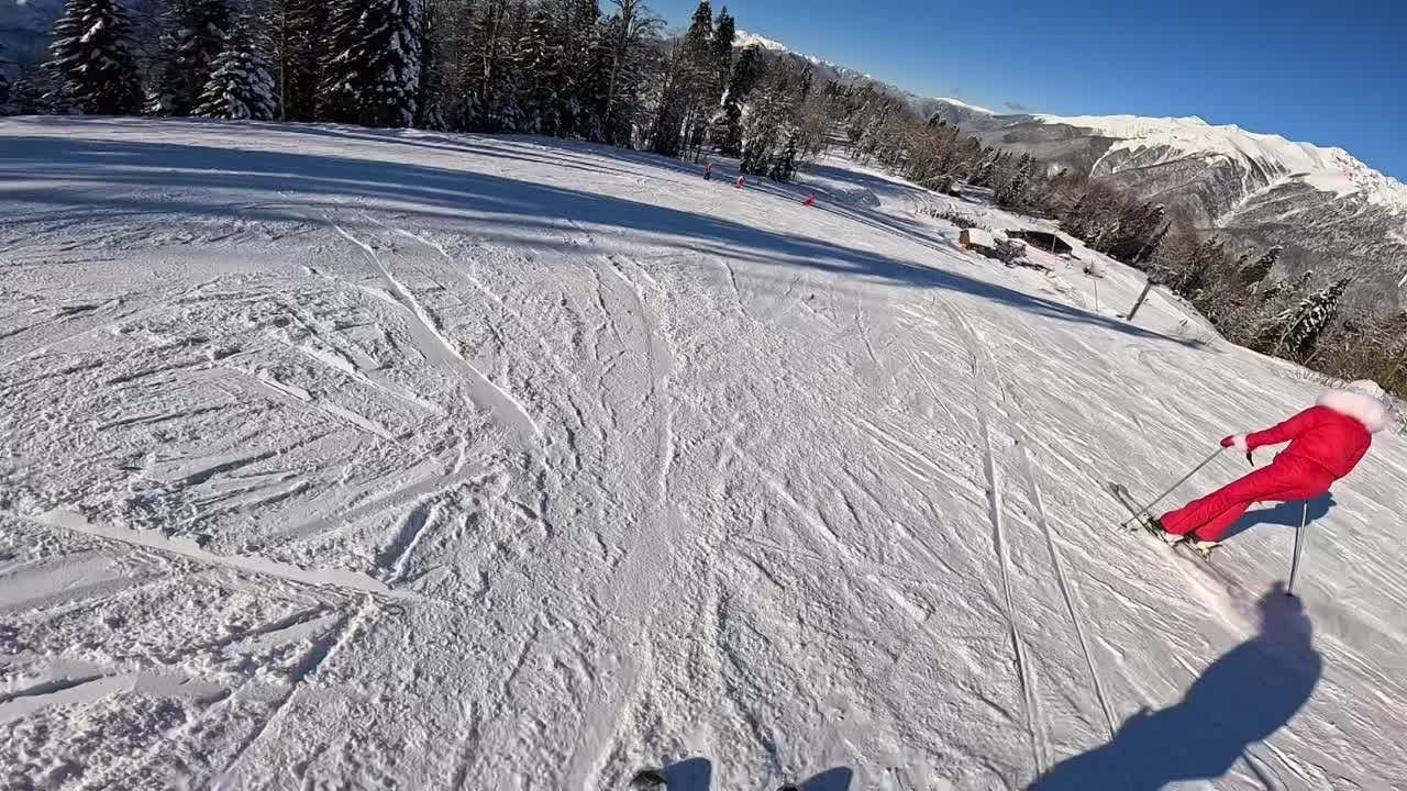 Активности. Алексей Торопов фотограф