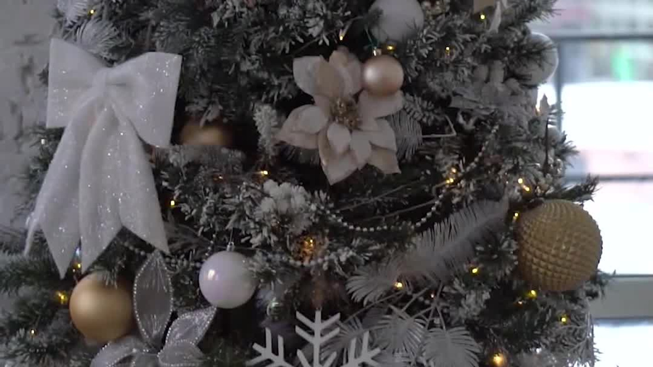 Видеосъемка. Фотограф — видеограф Светлана Левина