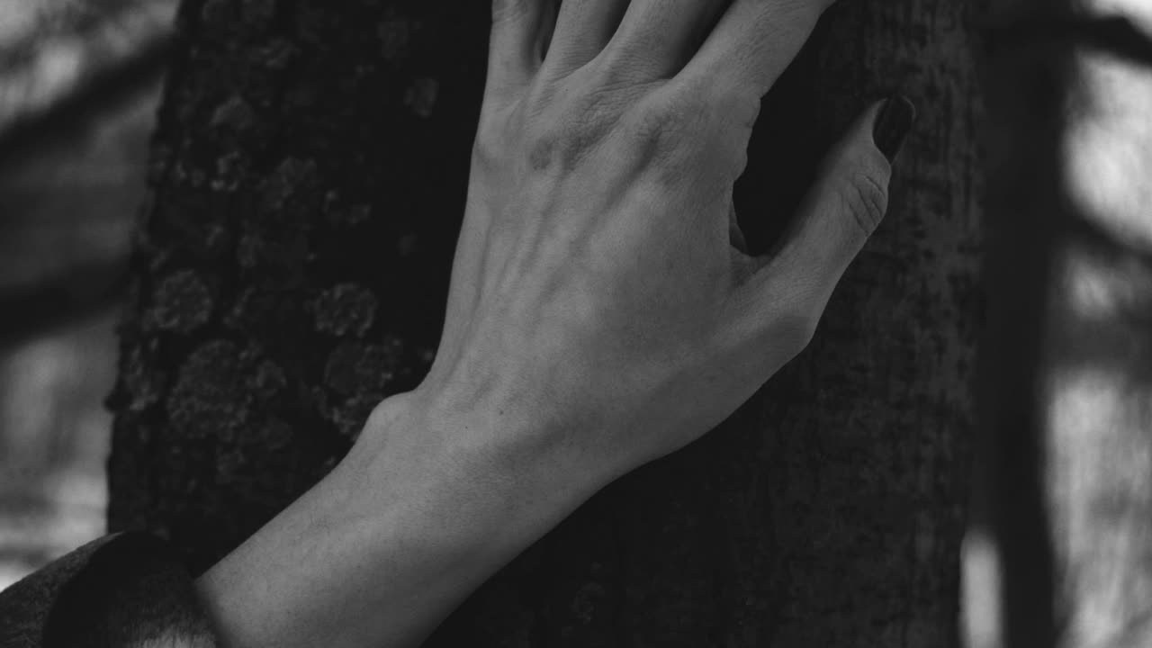 Вечерний лес. Фотограф в Нижнем Новгороде Алексей Уковский