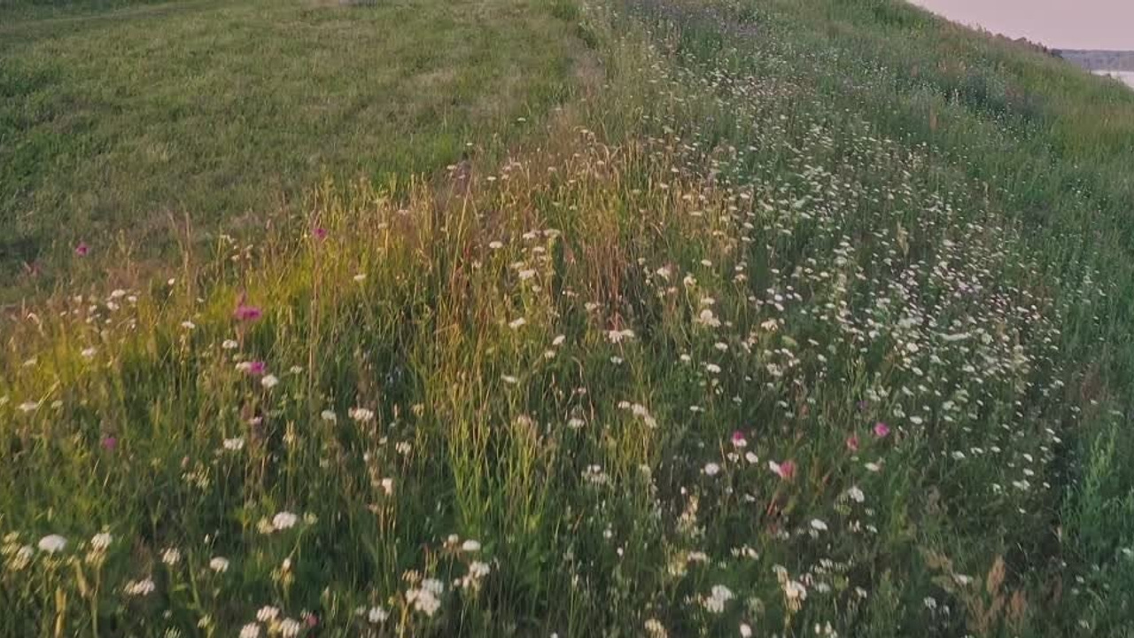 Видео. Аэросъемка в Архангельске, Александр Ермолин