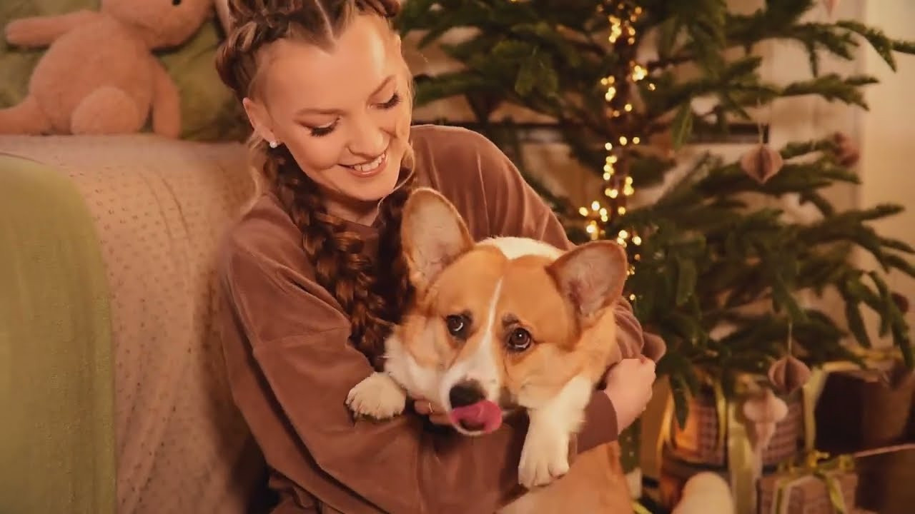Видеоролики. Семейный и свадебный фотограф в Донецке Донская Анастасия