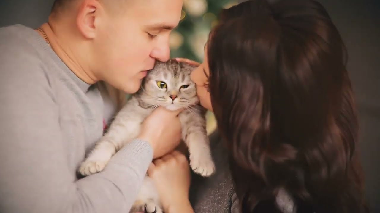 Видеоролики. Семейный и свадебный фотограф в Донецке Донская Анастасия