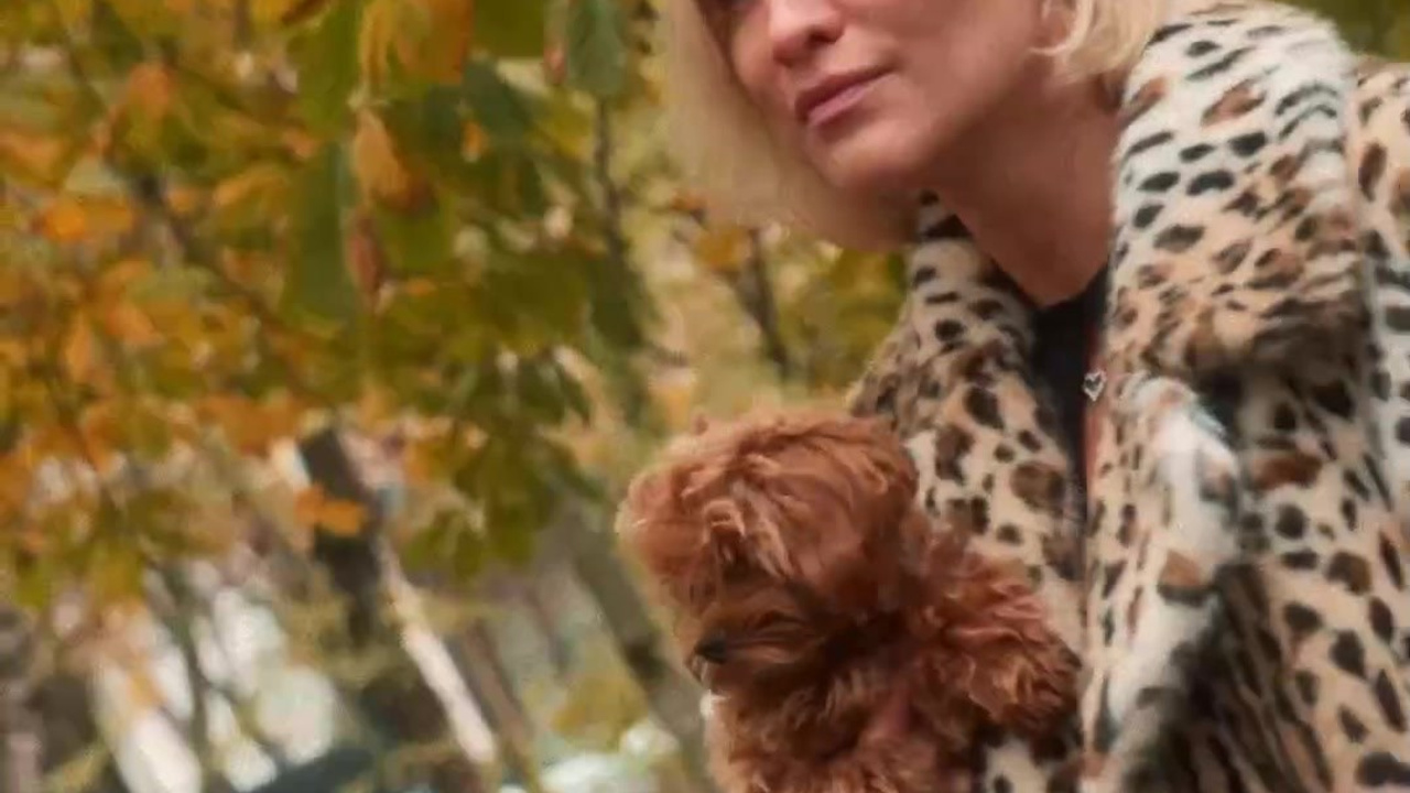 Фэшн. прогулки. РЕЖИССЁР/КРЕАТОР/ВИДЕОГРАФ Андрей Горячкин