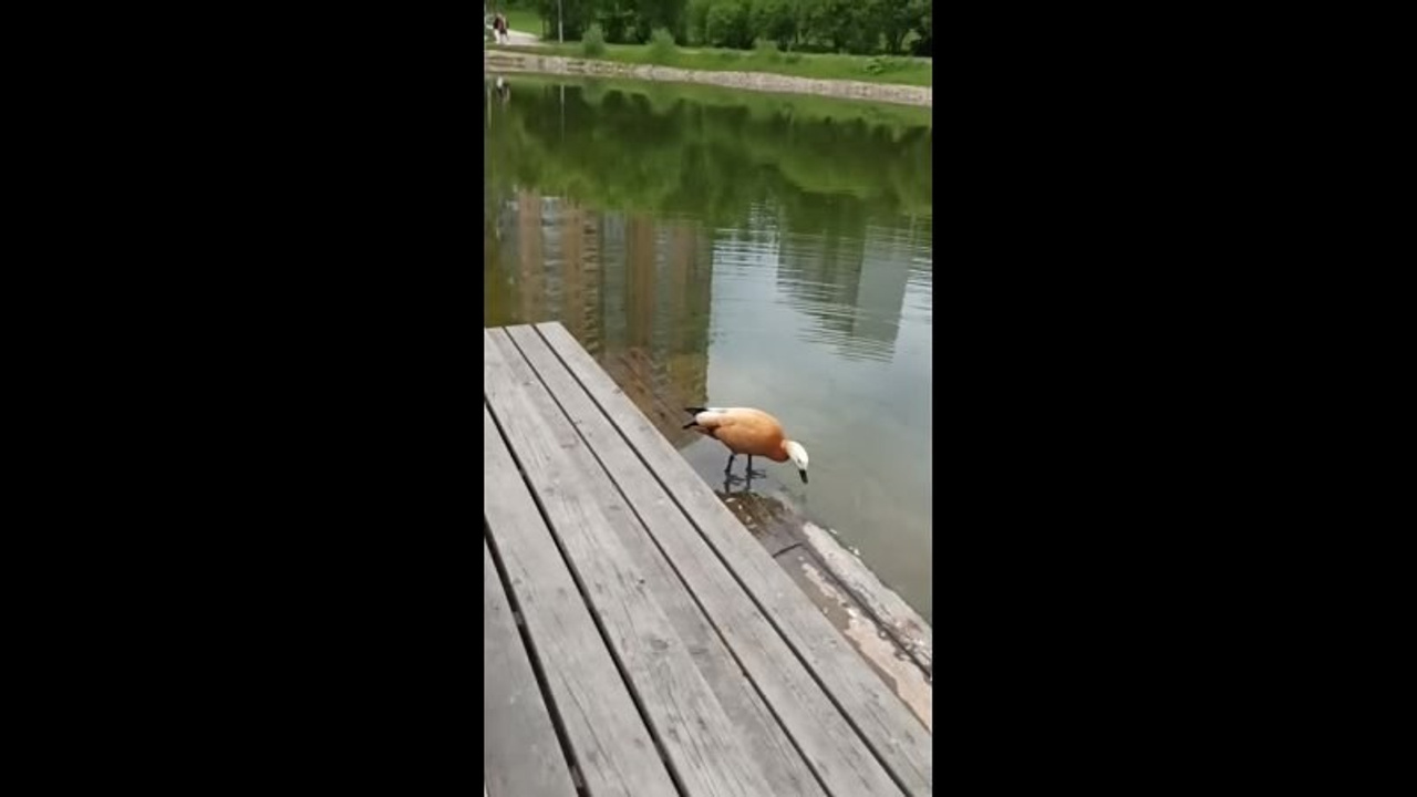 Бэкстейджи с фотосъемок. Семейный и детский фотограф в Москве Тихонова Ксения