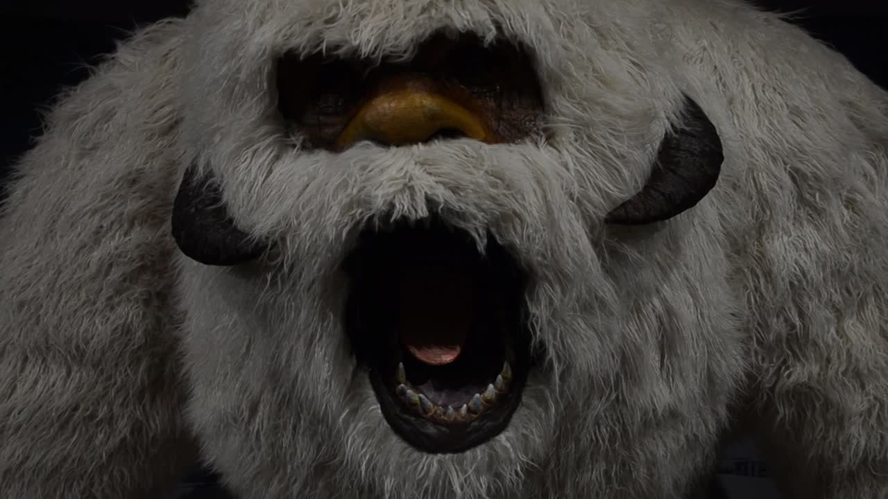 Видеооператор работаю в Москве, Дмитрове, Дубна