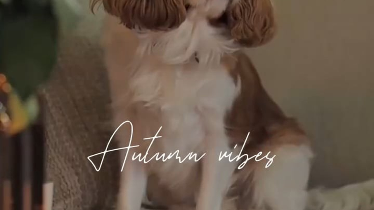 Коллаборация Banka Home x Decoracia. Креативный продюсер Екатерина Швец