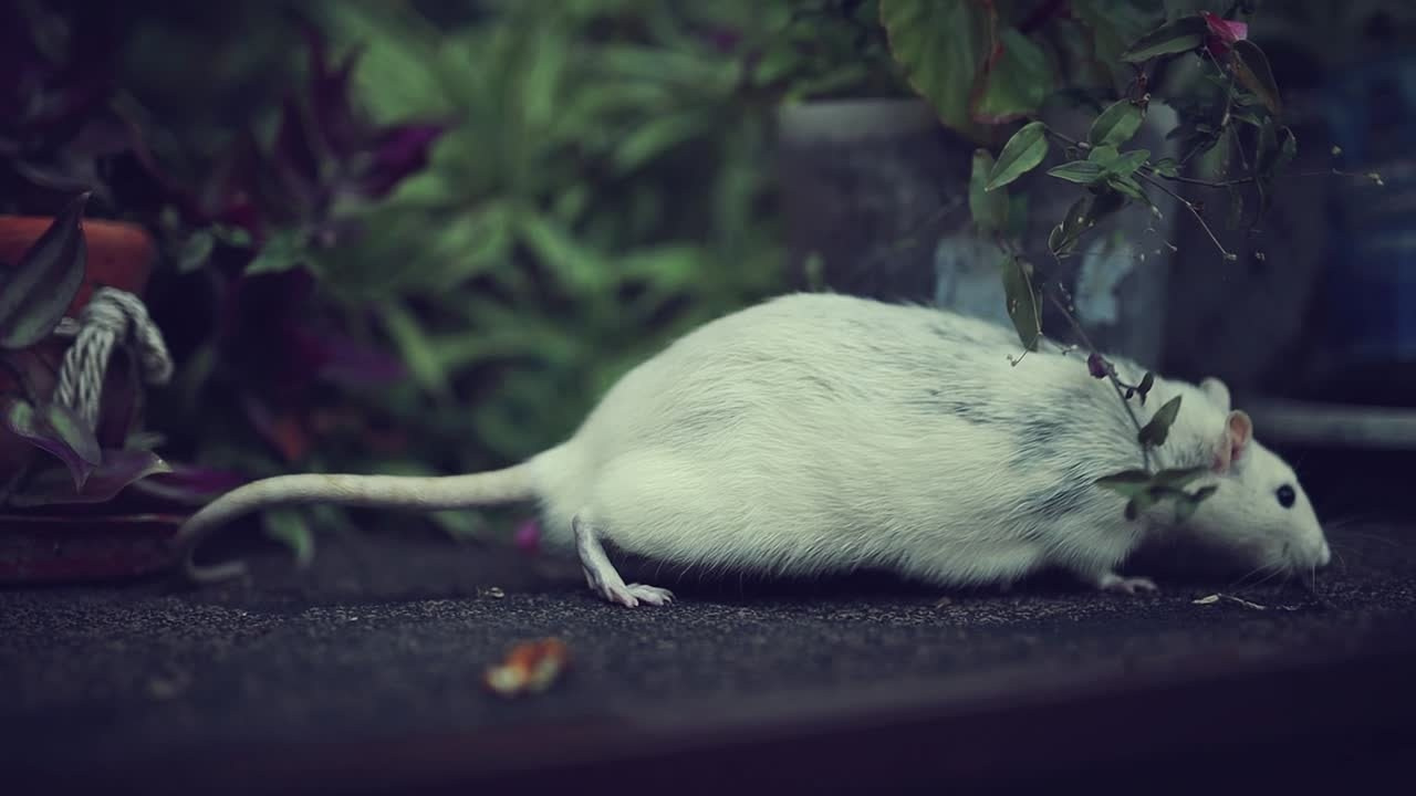 Видео ролики. Фотограф-видеограф в Краснодаре Таша Водовозова