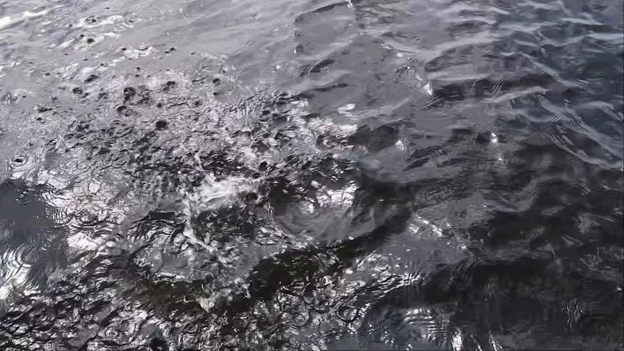 Видеосъемка и Монтаж. Профессиональный фотограф в Спб и Москве Пётр Летуновский