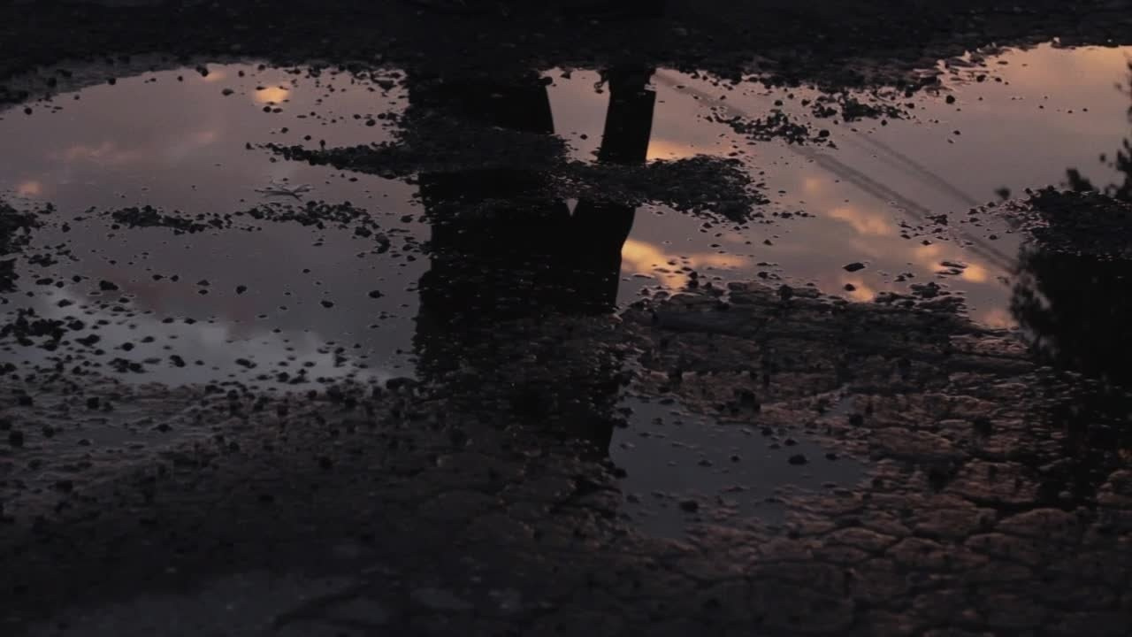 VIDEO. Главная