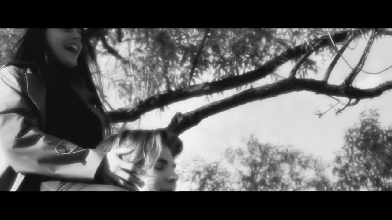 VIDEO. Главная