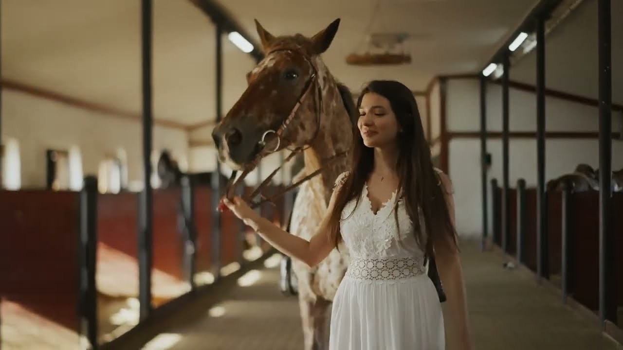 Wedding video. Genius