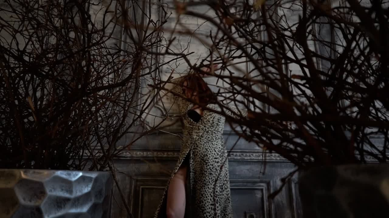 Женский портрет. Фотограф и видеограф в Москве