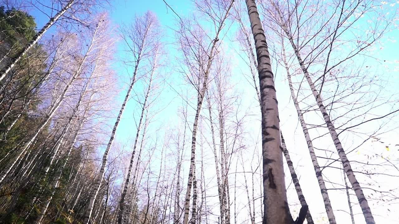 Семейная история. Фотограф и видеограф в Москве