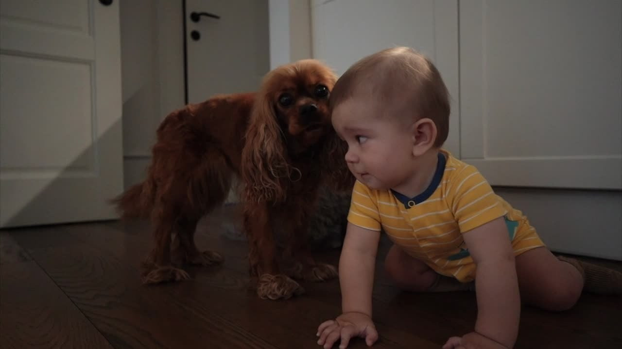 Детский портрет. Фотограф и видеограф в Москве