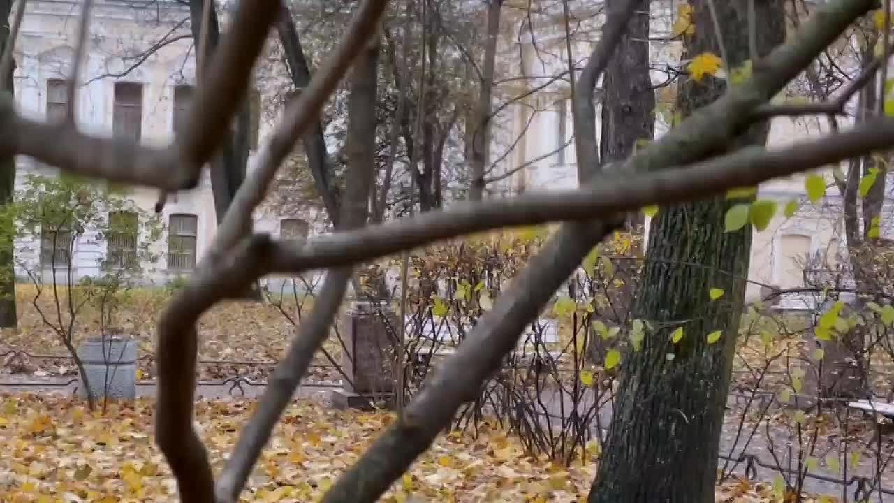 Видеоролики. Видеограф в Санкт-Петербурге Ирина Гордеева