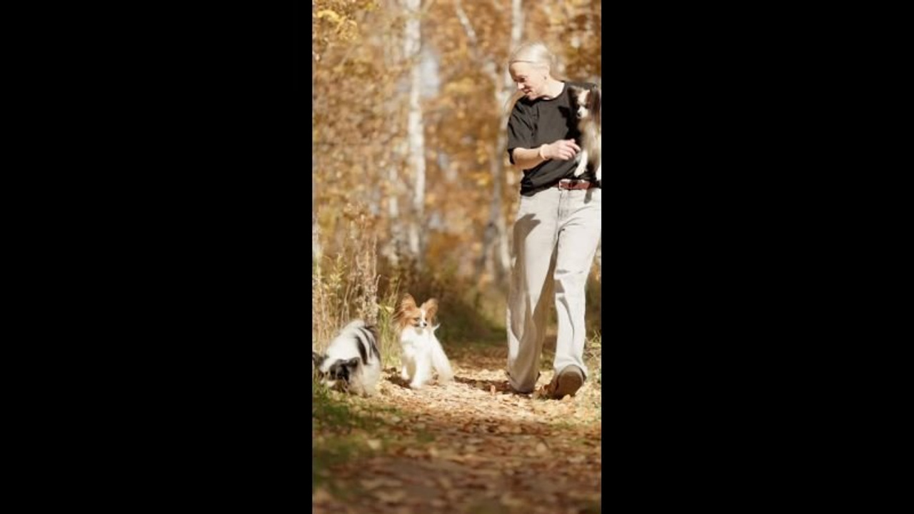 Видео. Фотограф-анималист|Иркутск