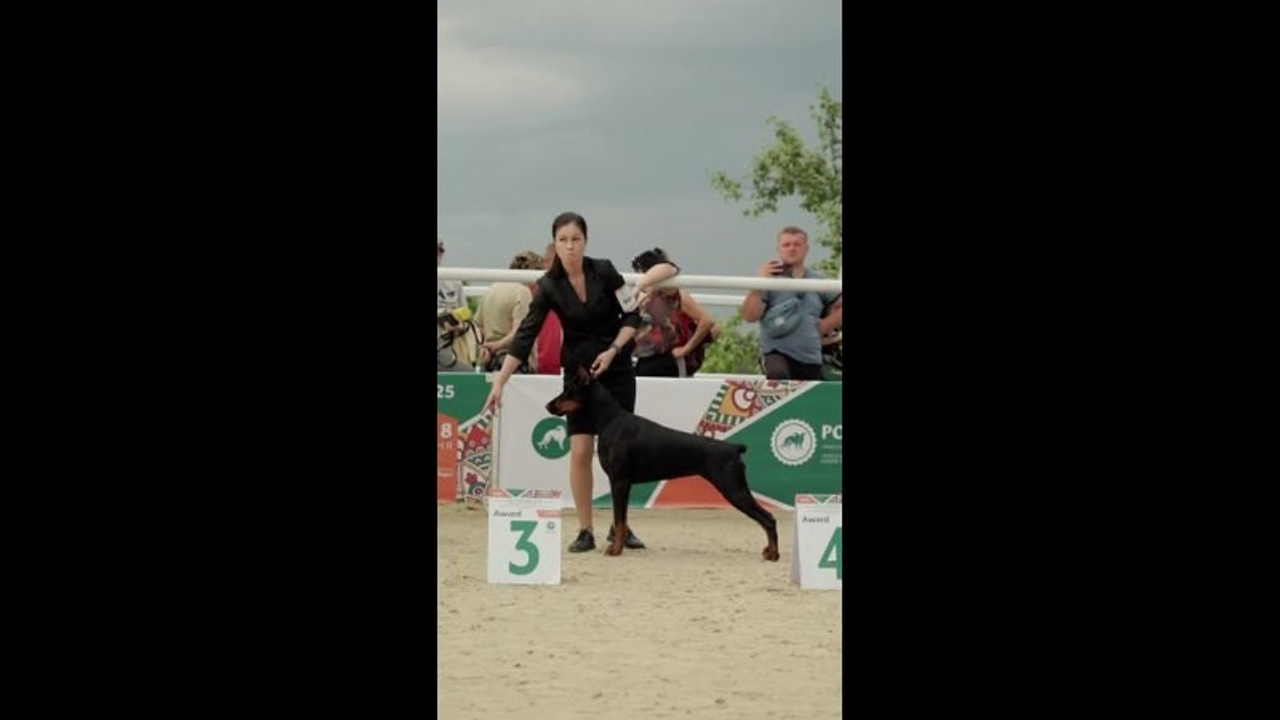 Видео. Фотограф-анималист|Иркутск