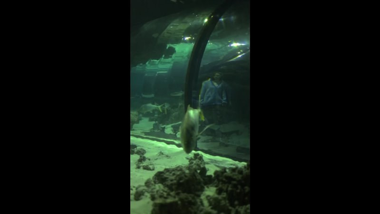 ВИДЕО. Фотограф и видеограф Москва Анапа