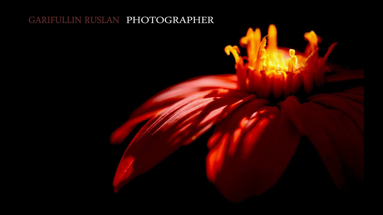 Фотограф Гарифуллин Руслан. Раменское, Жуковский, Москва. |Love story. Свадебный фотограф Гарифуллин Руслан. Раменское, Жуковский, Москва