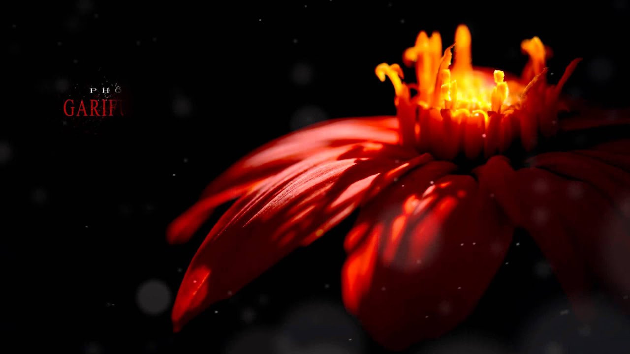 Ты важна 2016. Свадебный фотограф Гарифуллин Руслан. Раменское, Жуковский, Москва