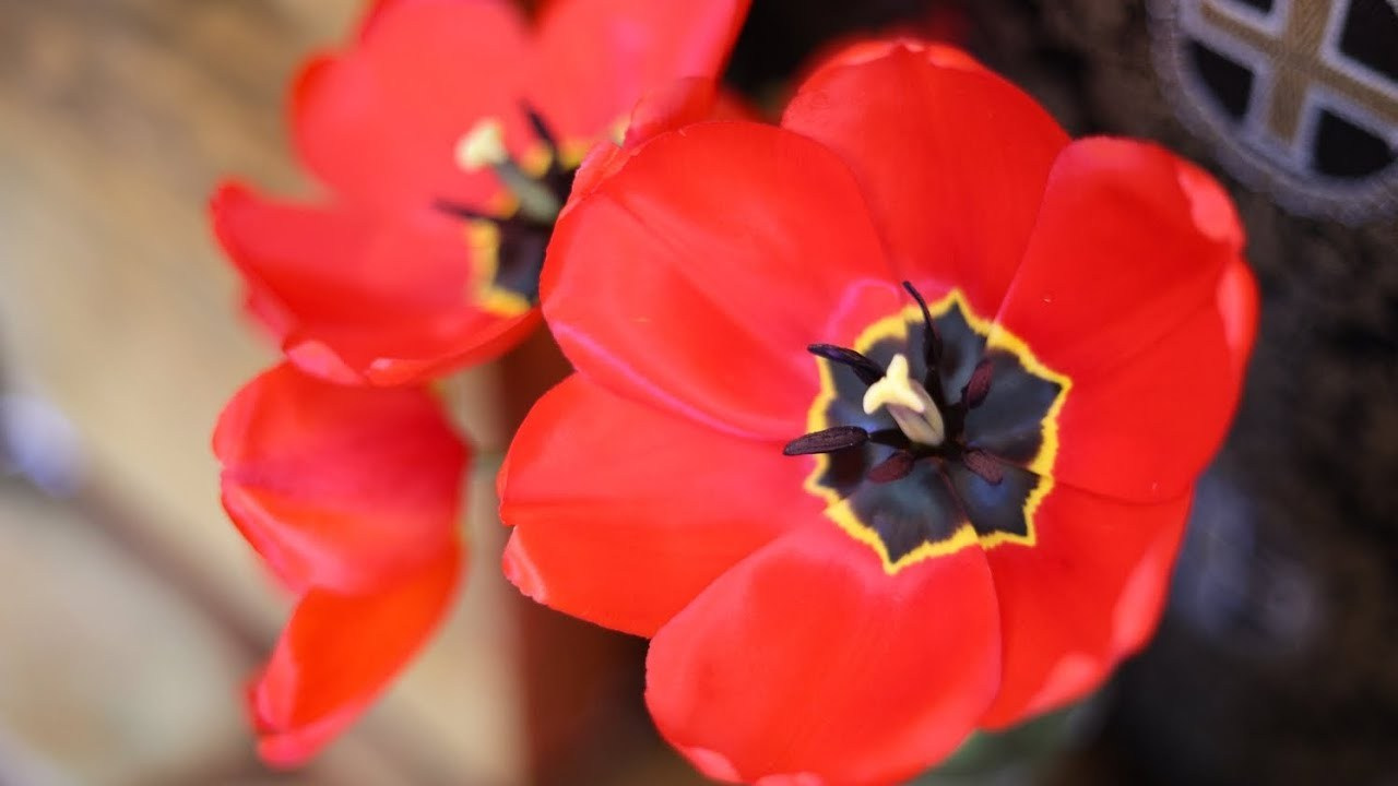 Великая пятница. Вознесенский храм села Барановское